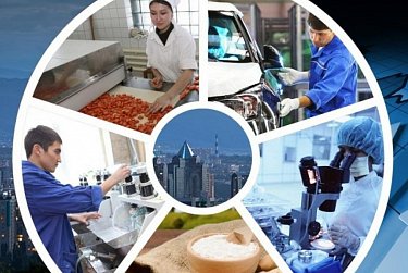 Как укрепить экономику в условиях санкций